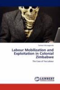 Paperback Labour Mobilization and Exploitation in Colonial Zimbabwe Book