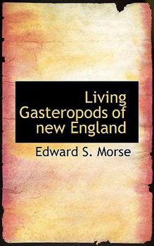 Living Gasteropods of New England