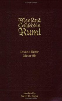 Paperback Divan-I Kebir, Meter 8b Book
