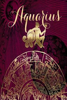 Paperback 2019 Daily Planner Aquarius Symbol Astrology Wheel Zodiac Horoscope 384 Pages: (Notebook, Diary, Blank Book) Book