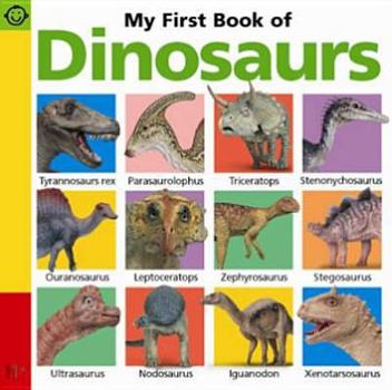 Hardcover My First Book of Dinosaurs (Pancake My First Book) Book