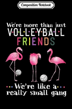 Composition Notebook: Funny Flamingo Volleyball Friends Lovers Gifts  Journal/Notebook Blank Lined Ruled 6x9 100 Pages