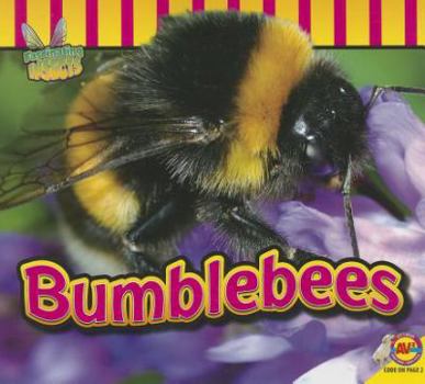 Los Abejorros / Bumblebees - Book  of the Fascinating Insects