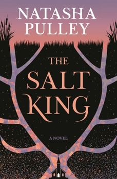 Hardcover The Salt King Book