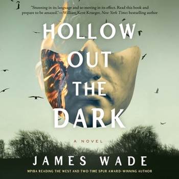 Audio CD Hollow Out the Dark Book