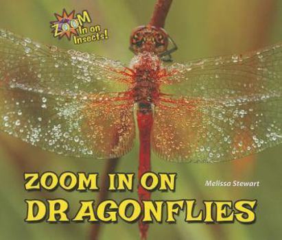 Paperback Zoom in on Dragonflies Book