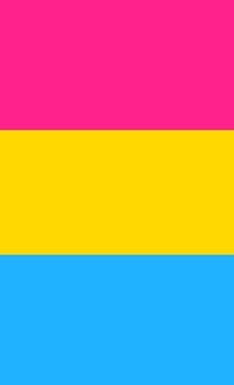 Hardcover Pansexual Pride Flag Sketchbook Book