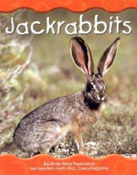 Library Binding Jackrabbits Book