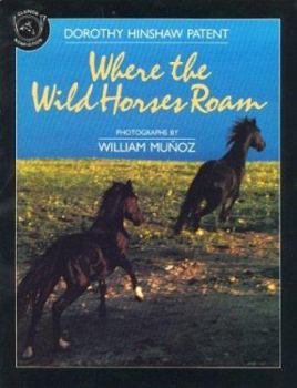 Paperback Where the Wild Horses Roam Book