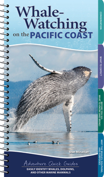 Spiral-bound Whale-Watching on the Pacific Coast: Easily Identify Whales, Dolphins, and Other Marine Mammals Book