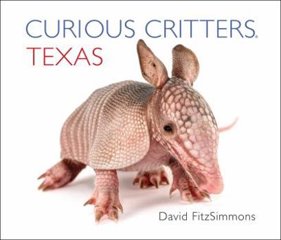 Board book Curious Critters Texas Book