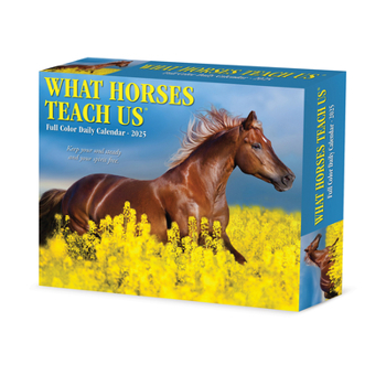 Calendar What Horses Teach Us 2025 6.2 X 5.4 Box Calendar Book