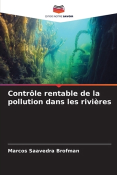 Contrôle rentable de la pollution dans les rivières (French Edition)
