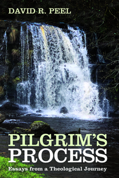 Hardcover Pilgrim's Process: Essays from a Theological Journey Book