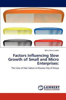 Paperback Factors Influencing Slow Growth of Small and Micro Enterprises Book