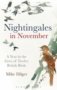 Hardcover Nightingales in November: A Year in the Lives of Twelve British Birds Book