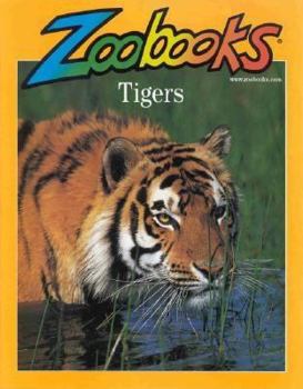Tigres (Zoobooks) - Book  of the Zoobooks Series