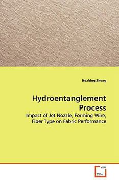 Paperback Hydroentanglement Process Book