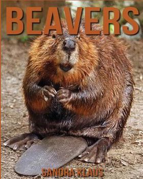 Paperback Childrens Book: Amazing Facts & Pictures about Beavers Book