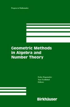 Geometric Methods in Algebra and Number Theory (Progress in Mathematics)