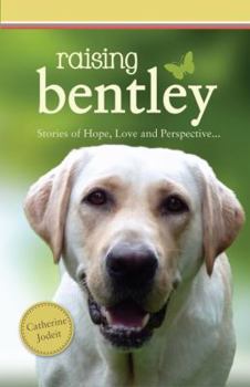 Paperback Raising Bentley Book