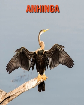Paperback Anhinga: Fun Learning Facts About Anhinga Book