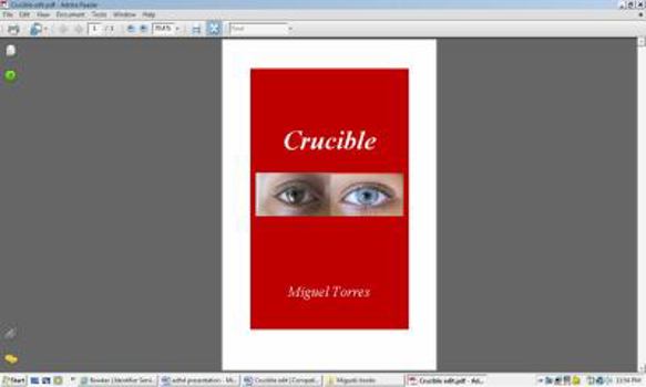 Paperback Crucible Book