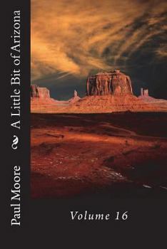 Paperback A Little Bit of Arizona: Volume 16 Book