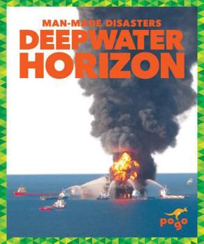 Paperback Deepwater Horizon Book