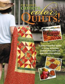 Paperback Camera, Color, Quilts! (Leisure Arts #4825) Book