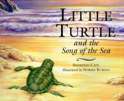 Hardcover Little Turtle and the Song of the Sea Book