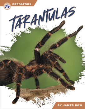 Paperback Tarantulas Book