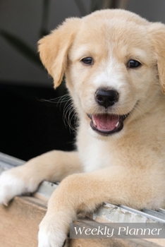 Weekly Planner: Agenda Schedule Planner 6x9 52 weeks