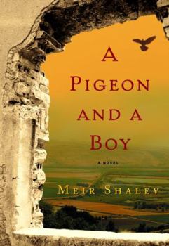 Hardcover A Pigeon and a Boy Book