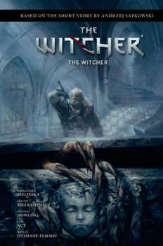 Hardcover Andrzej Sapkowski's the Witcher: The Witcher Book