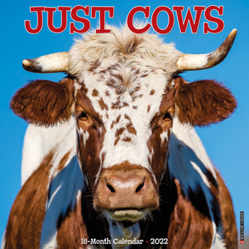 Calendar Just Cows 2022 Wall Calendar Book