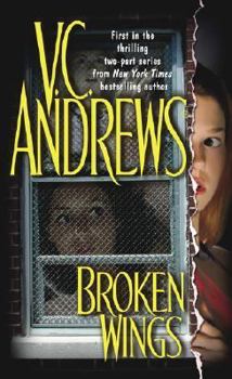 Hardcover Broken Wings Book