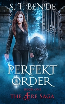 Perfekt Order - Book #1 of the Ære Saga