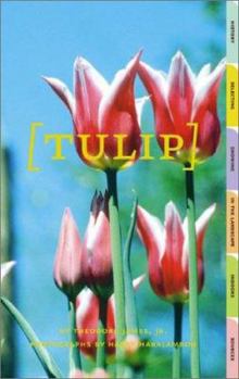 Paperback Tulip Book