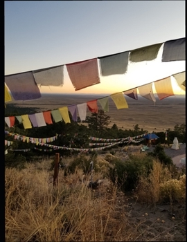 Paperback Time Cast in Amber Book