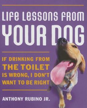 Hardcover Life Lessons from Your Dog: If Drinking from the Toilet Is Wrong, I Don't Want to Be Right Book