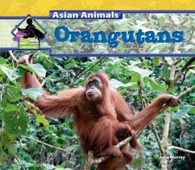 Orangutans - Book  of the Asian Animals