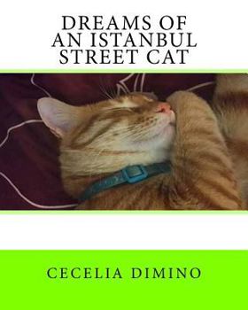 Paperback Dreams of an Istanbul Street Cat Book