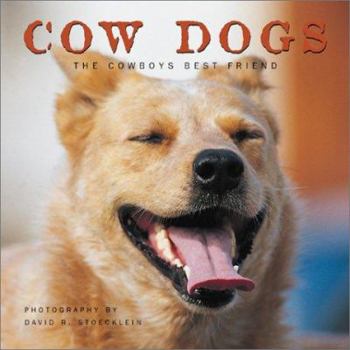 Hardcover Cow Dogs: A Cowboy's Best Friend Book