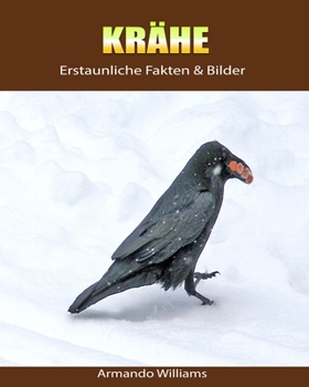 Paperback Kr?he: Erstaunliche Fakten & Bilder [German] Book