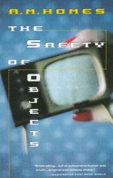 Paperback Safety of Objects Book