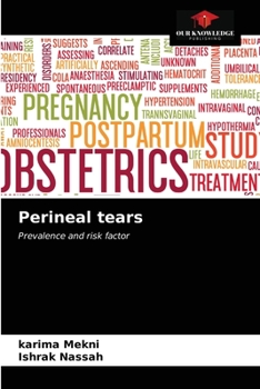 Paperback Perineal tears Book