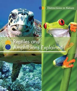Library Binding Reptiles and Amphibians Explained Book