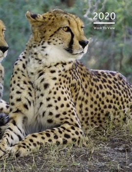 2020 A4 Diary Week To View Planner For All Occasions: | Year Planner For Business, Office, Home, University, College, School, Appointments, Organizer.