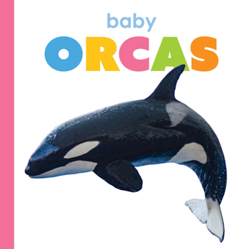 Paperback Baby Orcas Book